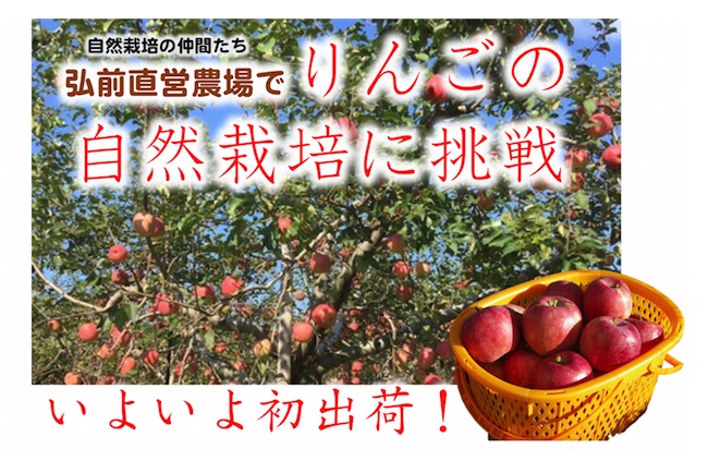 自然栽培のりんご 木村秋則直営農場