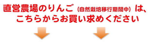自然栽培のりんご 木村秋則直営農場